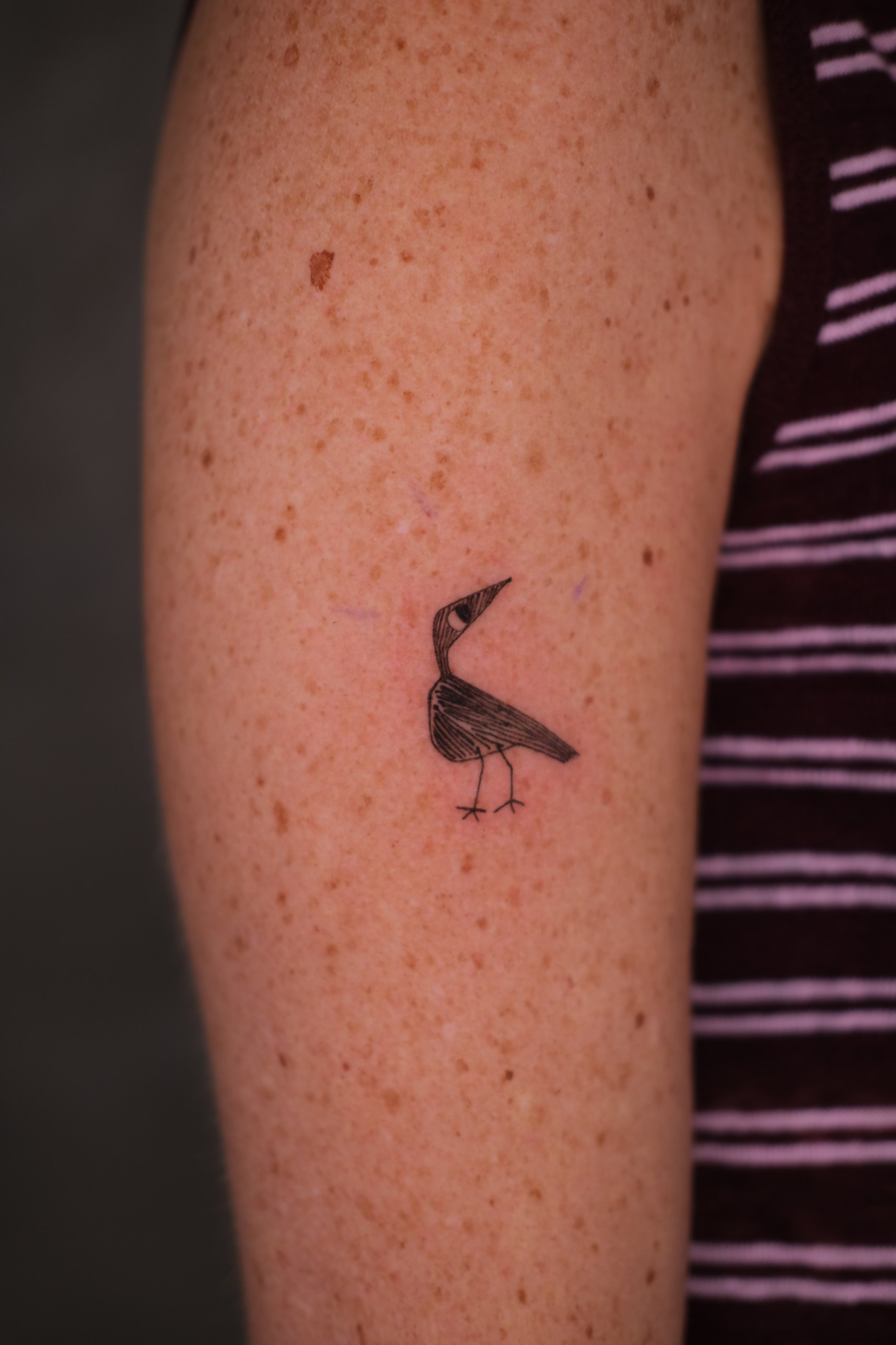 Fine line sketch style tattoo by Alma Studio, Brighton