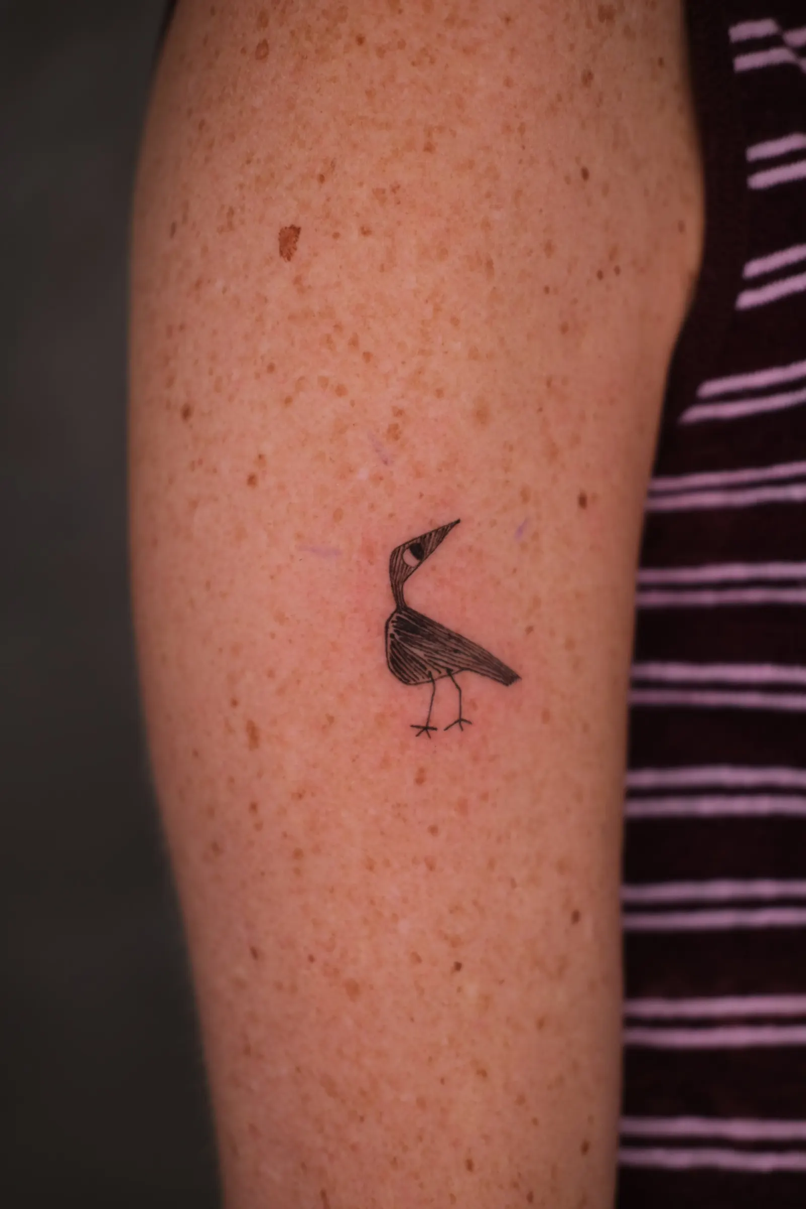 Fine line sketch style tattoo by Alma Studio, Brighton