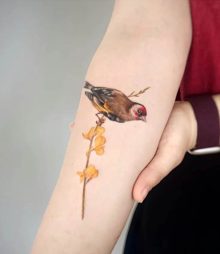Colour tattoo by @lafragile_